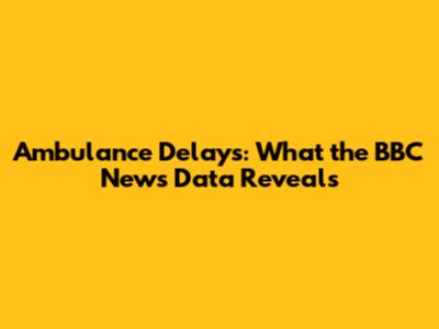 Ambulance Delays: What the BBC News Data Reveals