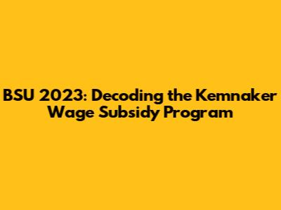 BSU 2023: Decoding the Kemnaker Wage Subsidy Program