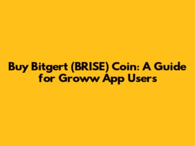 Buy Bitgert (BRISE) Coin: A Guide for Groww App Users