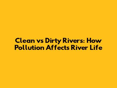 Clean vs Dirty Rivers: How Pollution Affects River Life