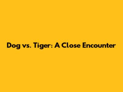 Dog vs. Tiger: A Close Encounter