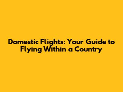 Domestic Flights: Your Guide to Flying Within a Country
