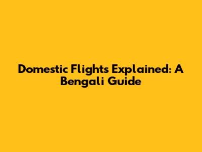 Domestic Flights Explained: A Bengali Guide