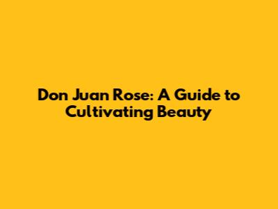 Don Juan Rose: A Guide to Cultivating Beauty