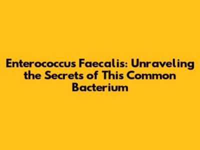 Enterococcus Faecalis: Unraveling the Secrets of This Common Bacterium