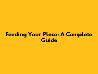 Feeding Your Pleco: A Complete Guide
