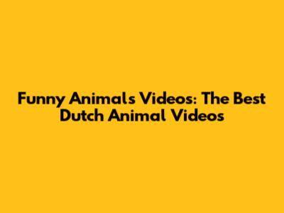 Funny Animals Videos: The Best Dutch Animal Videos