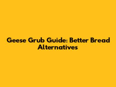 Geese Grub Guide: Better Bread Alternatives