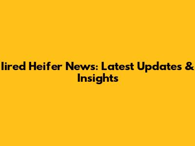 Iired Heifer News: Latest Updates & Insights