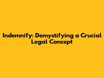 Indemnify: Demystifying a Crucial Legal Concept