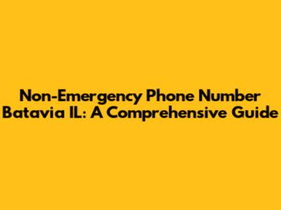 Non-Emergency Phone Number Batavia IL: A Comprehensive Guide