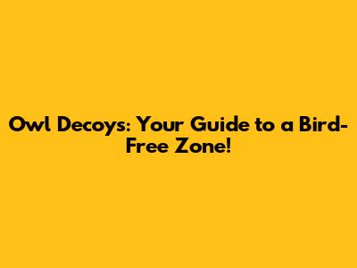 Owl Decoys: Your Guide to a Bird-Free Zone!