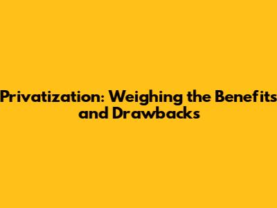 Privatization: Weighing the Benefits and Drawbacks