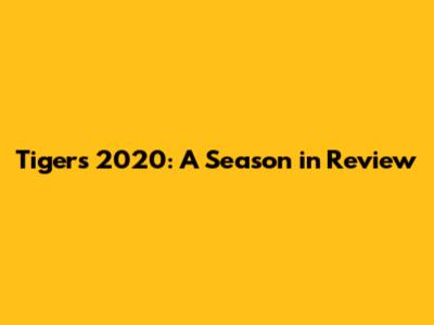 Tigers 2020: A Season in Review