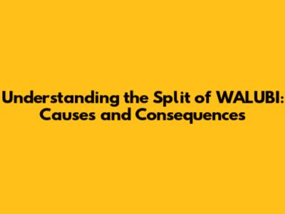 Understanding the Split of WALUBI: Causes and Consequences
