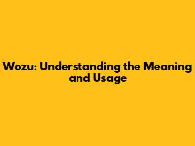 Wozu: Understanding the Meaning and Usage