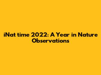 iNat time 2022: A Year in Nature Observations